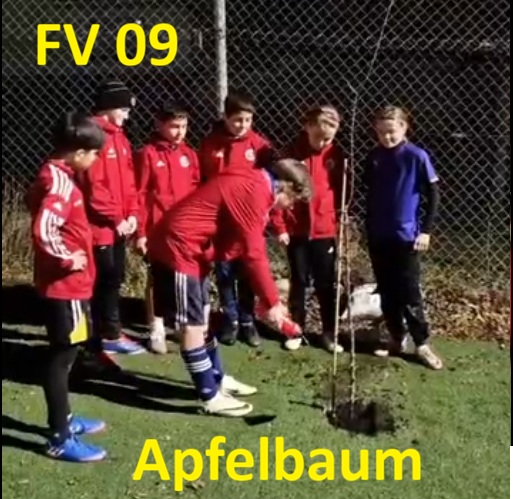 Baumpflanz-Challenge 2025